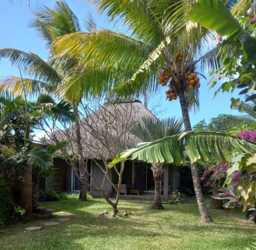 Brahmanhut - Eco Hut Experience In Harmony With Nature, Wellbeing And Spirit Bain Boeuf Buitenkant foto