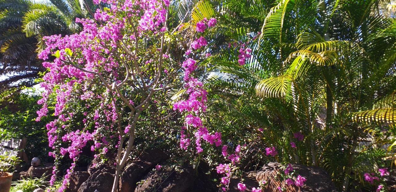 Brahmanhut - Eco Hut Experience In Harmony With Nature, Wellbeing And Spirit Bain Boeuf Buitenkant foto